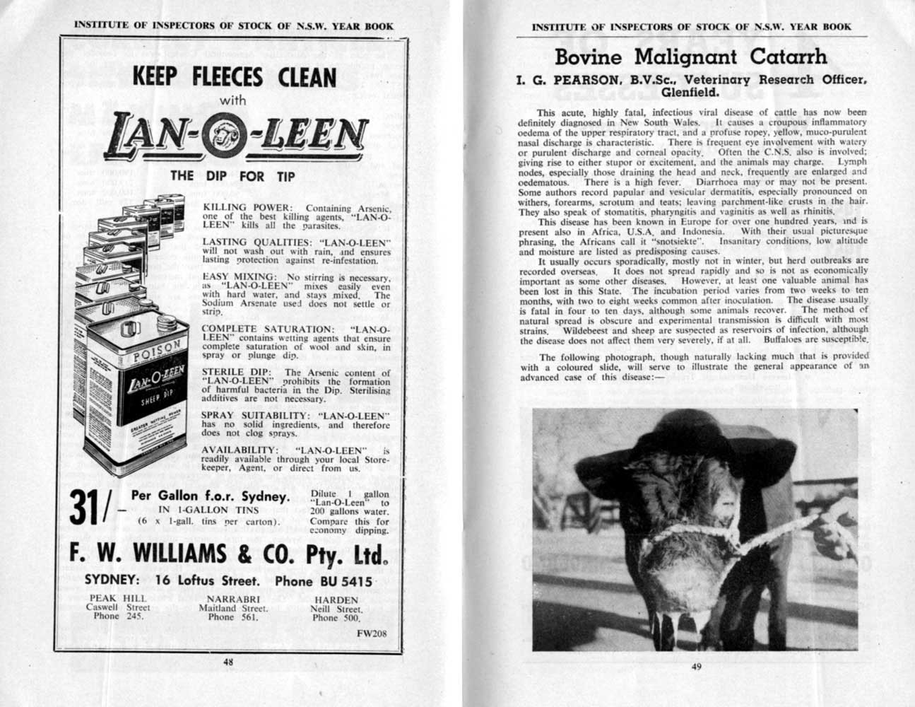 1955 Page 48 49